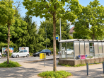 Baumfällung beim Spital verbessert Schulwegsicherheit